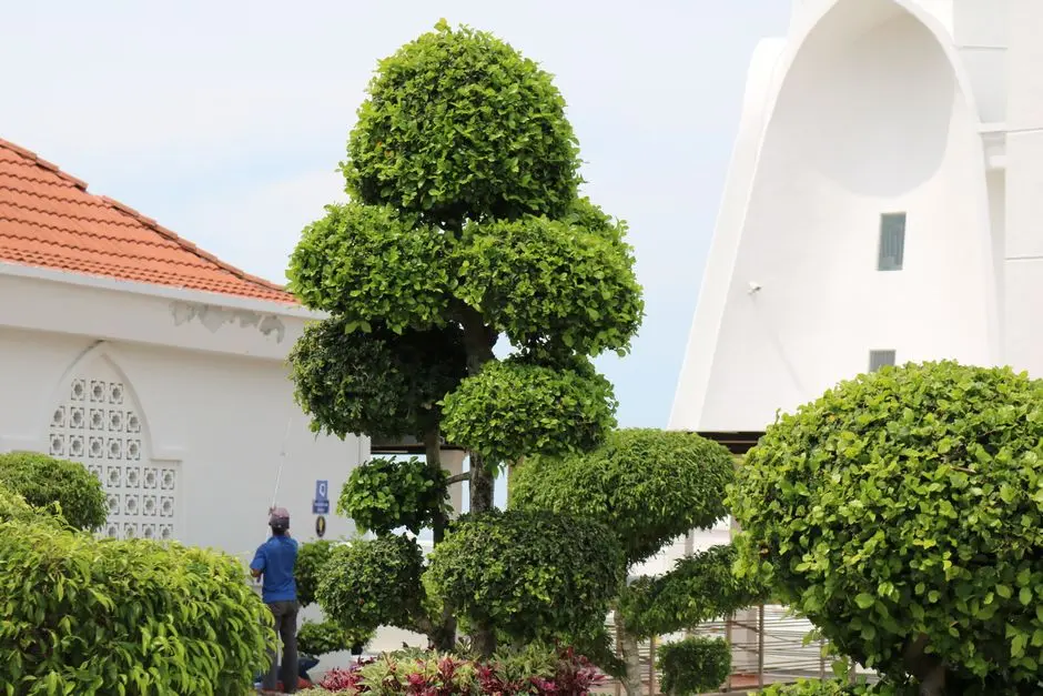 Greens & Outdoors at RUSTOMJEE PLOTS NAGPUR, Pardi Nagar, Nagpur