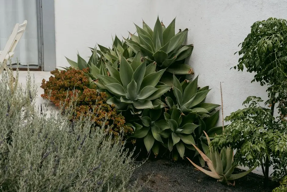 Greens & Outdoors at RUSTOMJEE CLEON, BKC Annexe, Mumbai
