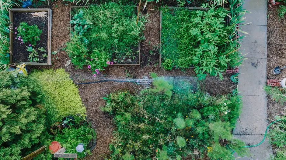 Greens & Outdoors at RUSTOMJEE WORLI, Mumbai