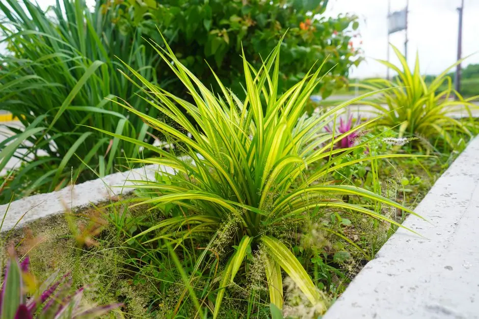 Greens & Outdoors at RUSTOMJEE ANDHERI EAST, Mumbai