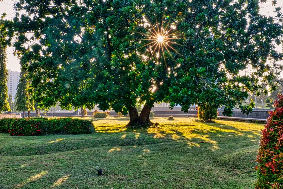 Greens & Outdoors at RUSTOMJEE ERIKA, Khernagar, Mumbai