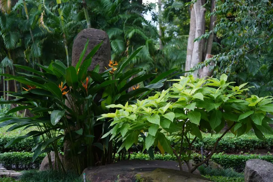 Greens & Outdoors at RUSTOMJEE AURELIA, Kandivali East, Mumbai