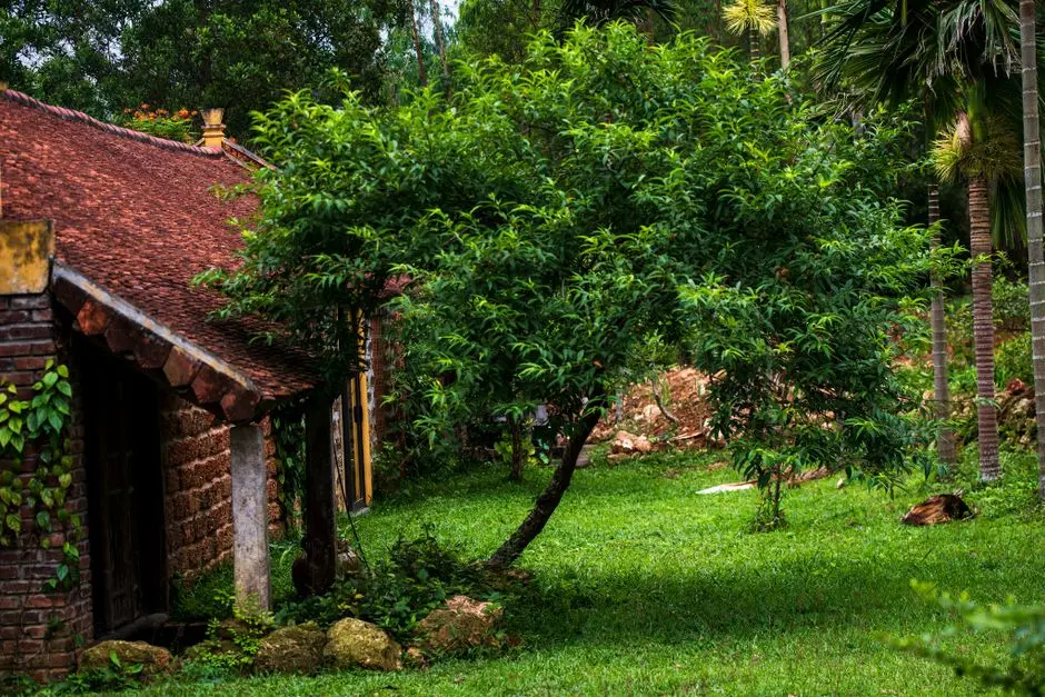 Greens & Outdoors at RUSTOMJEE GLOBAL CITY AVENUE L, Virar