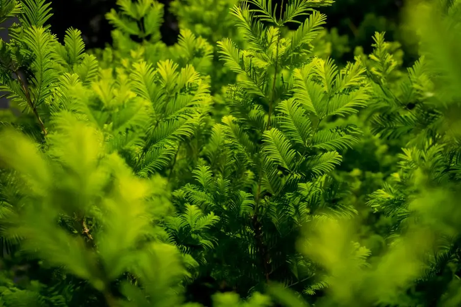 Greens & Outdoors at RUSTOMJEE BANDSTAND, Mumbai