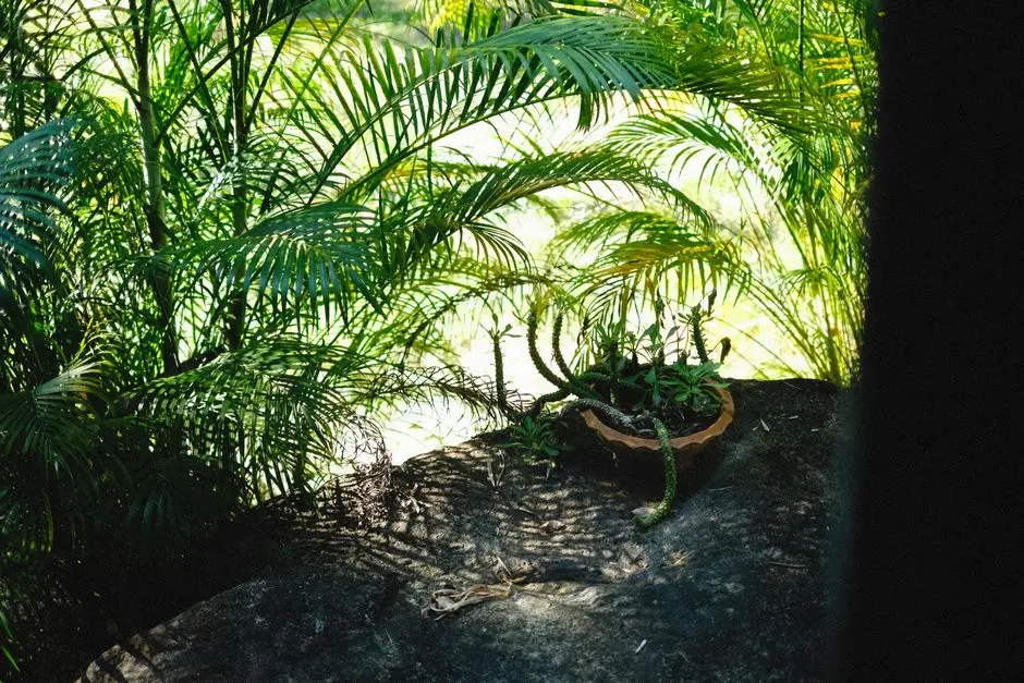 Greens & Outdoors at RUSTOMJEE ALIBAUG PLOTS, Alibaug