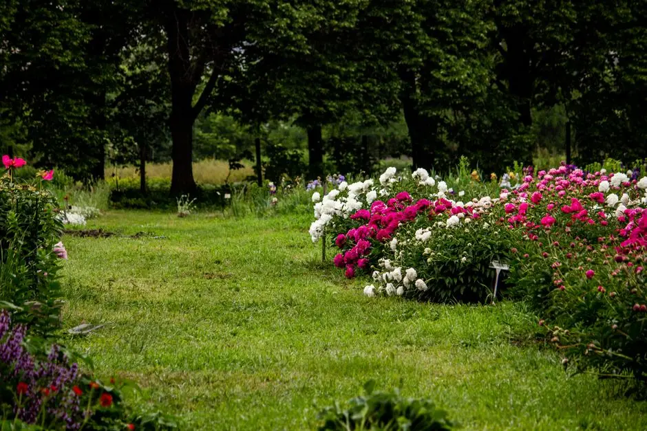Greens & Outdoors at RUSTOMJEE PLOTS GOA, Goa